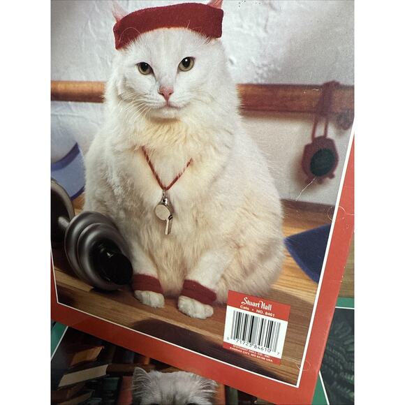 Vintage Stuart Hall Folder Lot Cats in School Unpunched Excellent Cond 1993 NOS - Picture 13 of 16